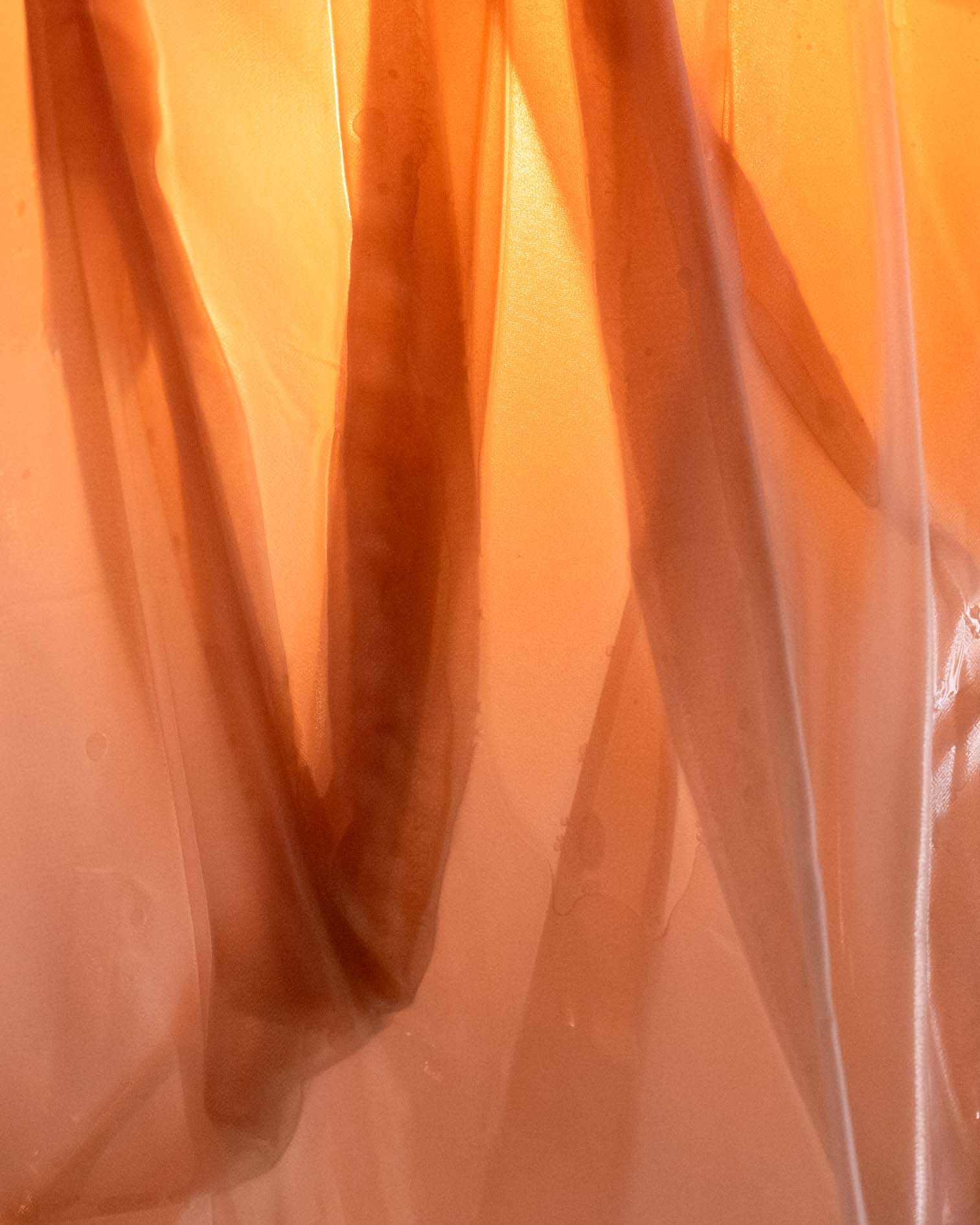 Husk Light by Kim Mesches