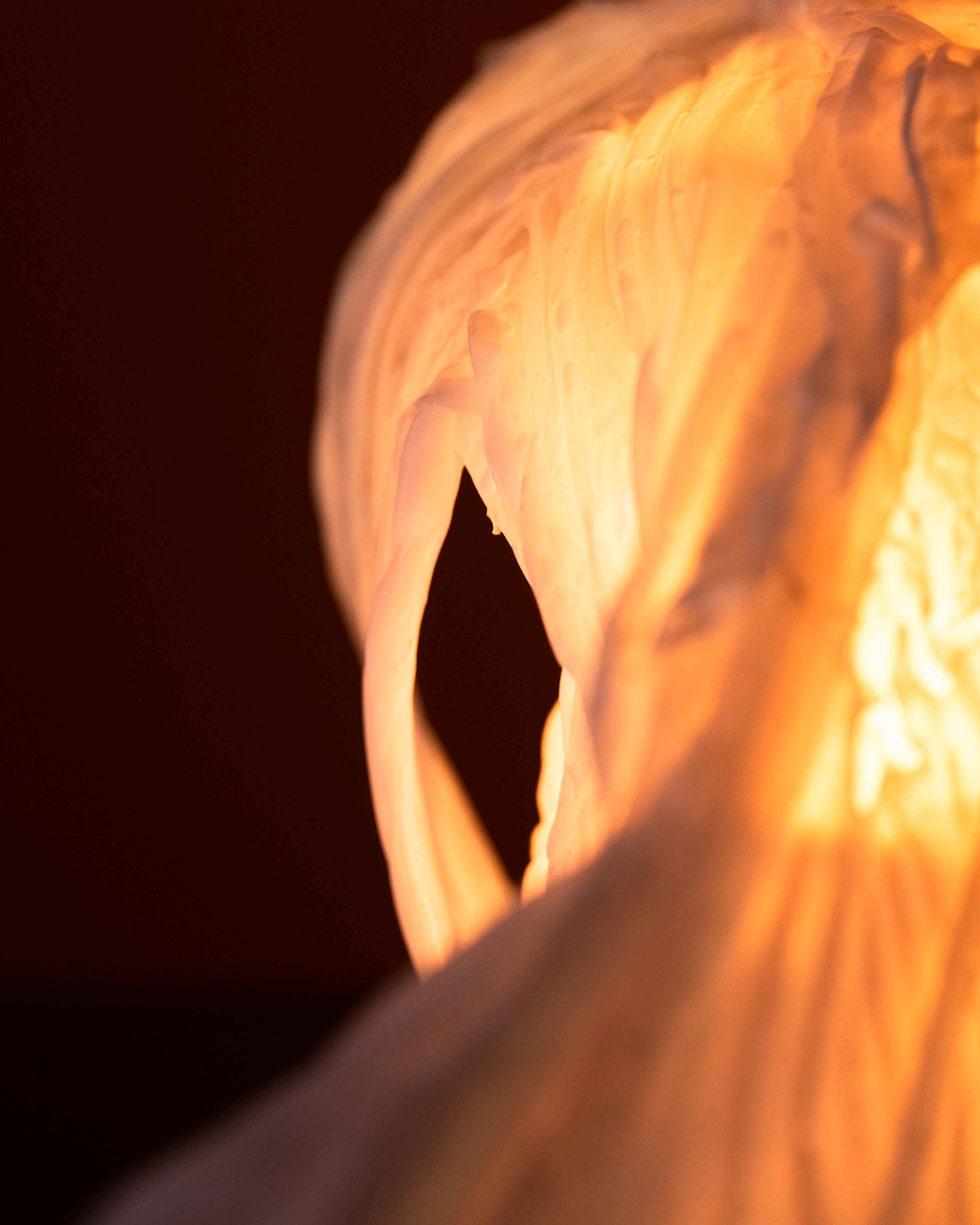 Cocoon Light by Kim Mesches