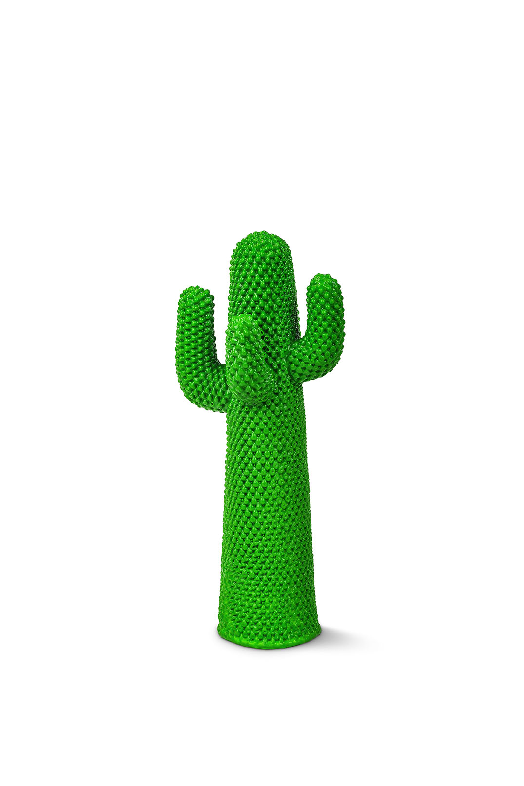 Guframini - Cactus