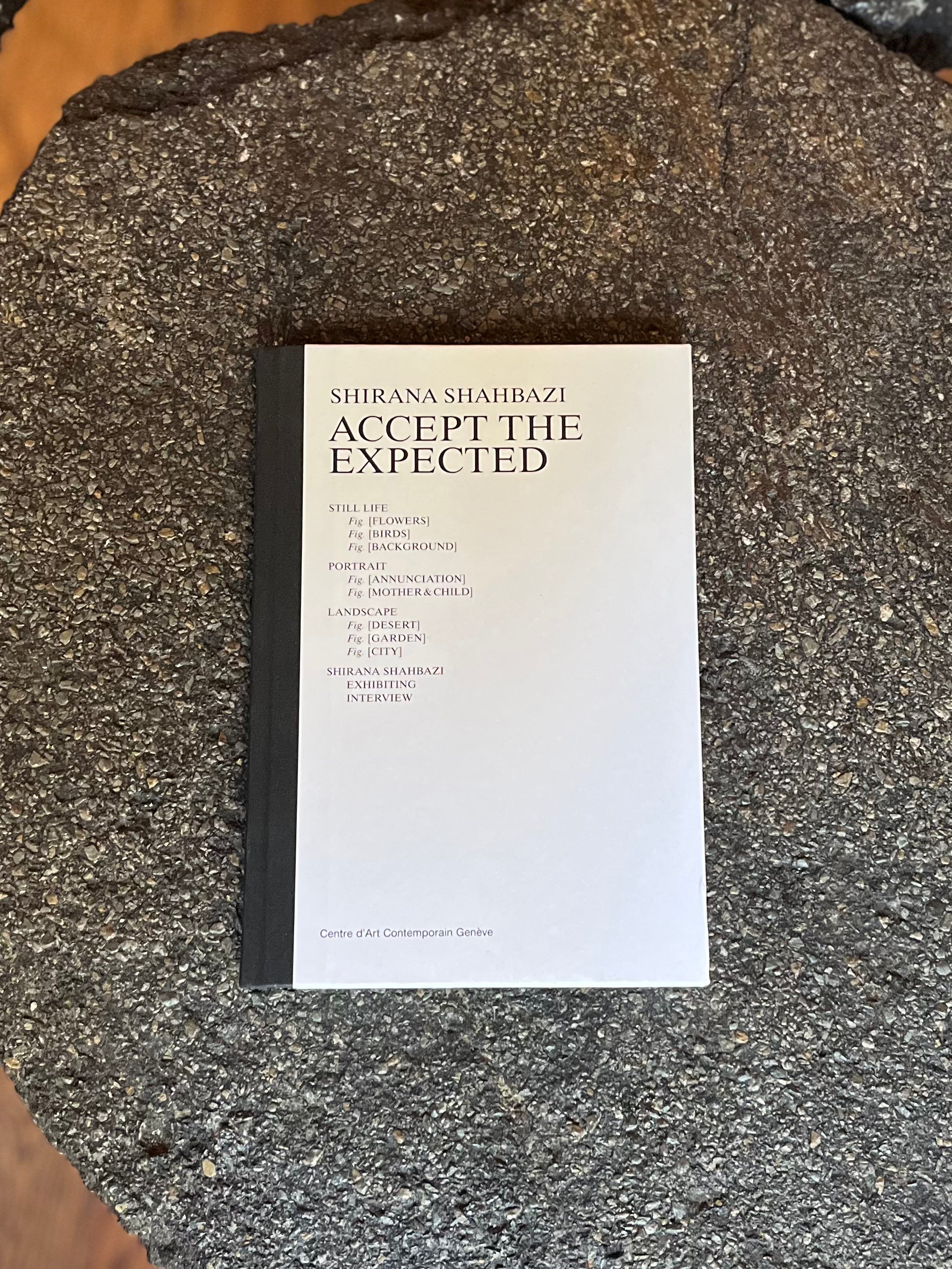Accept The Expected by Shirana Shahbazi
