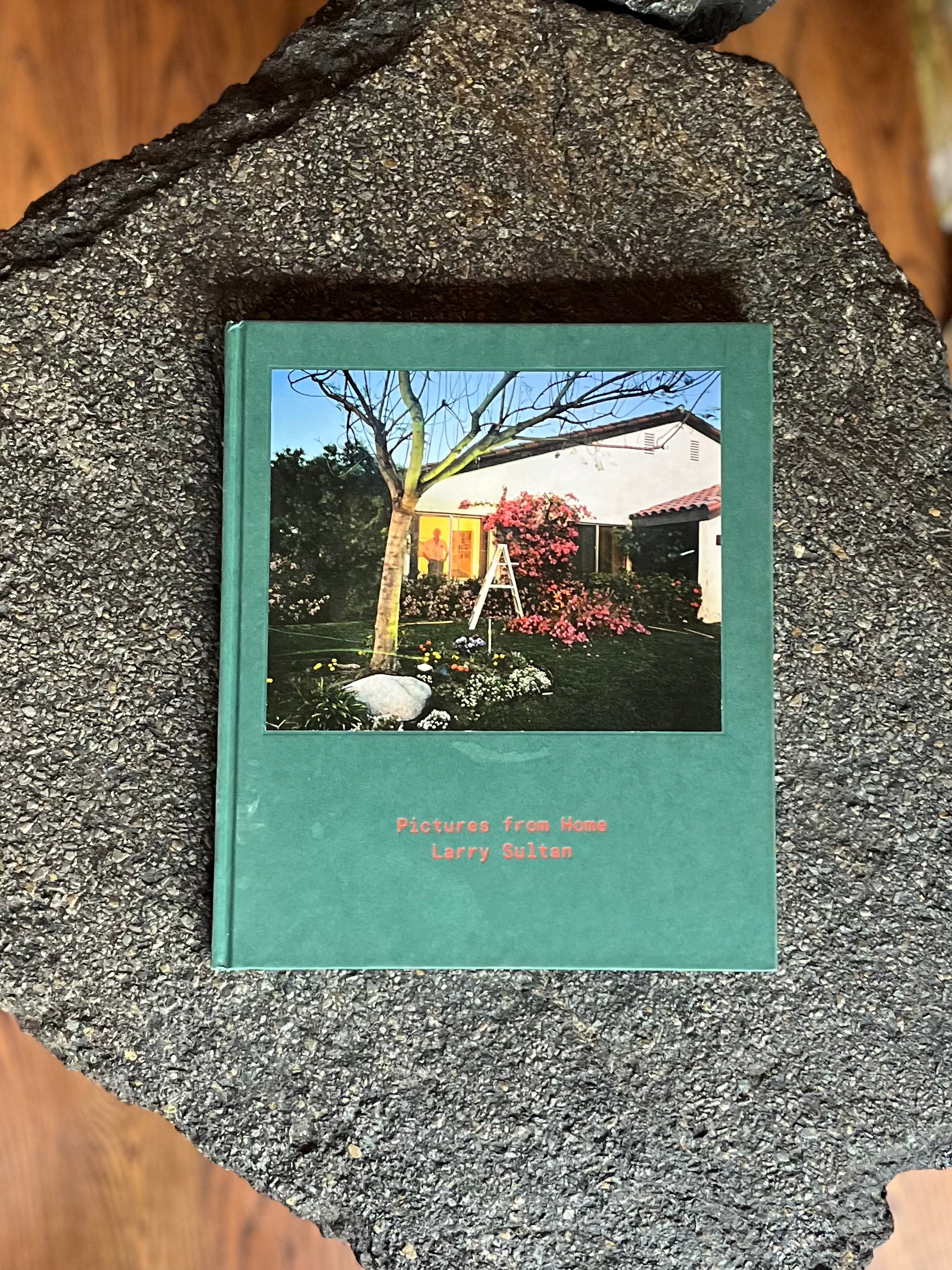 Pictures From Home by Larry Sultan