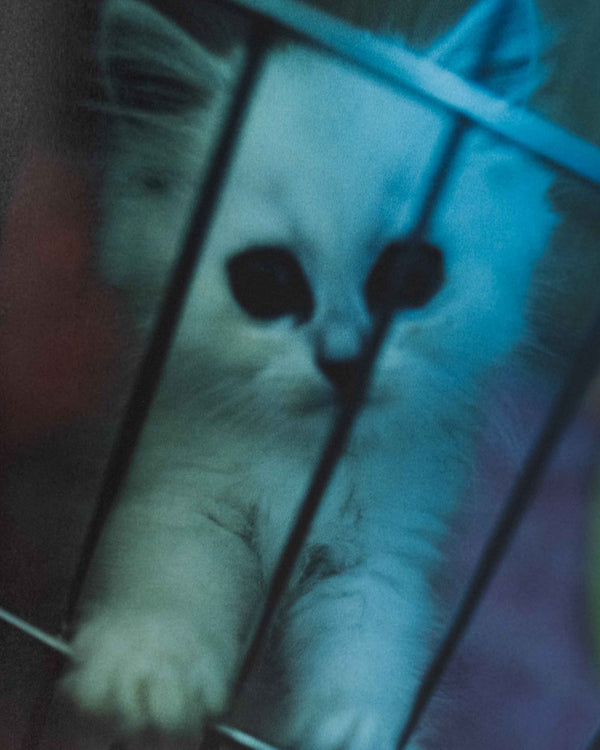 Self image By Mika Ninagawa