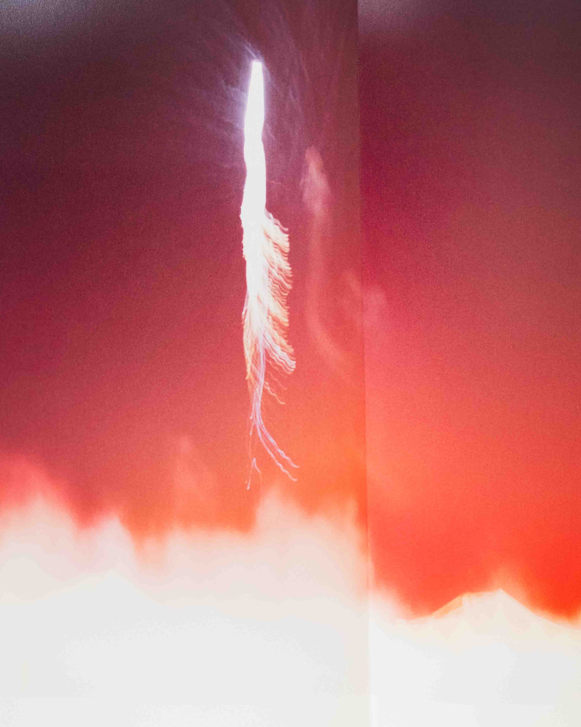 Self image By Mika Ninagawa