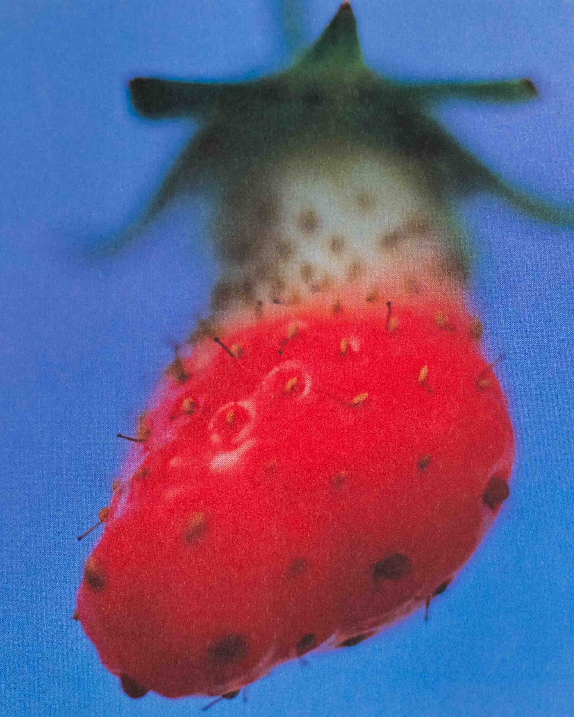 Self image By Mika Ninagawa