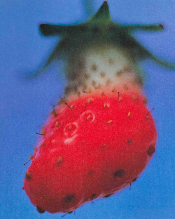 A Piece of Heaven by Mika Ninagawa