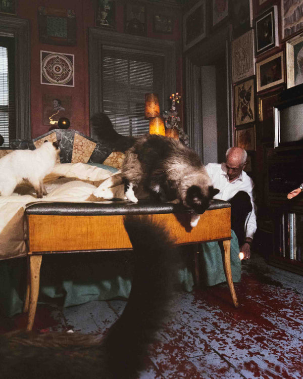 Kings in Their Castles: Photographs of Queer Men at Home