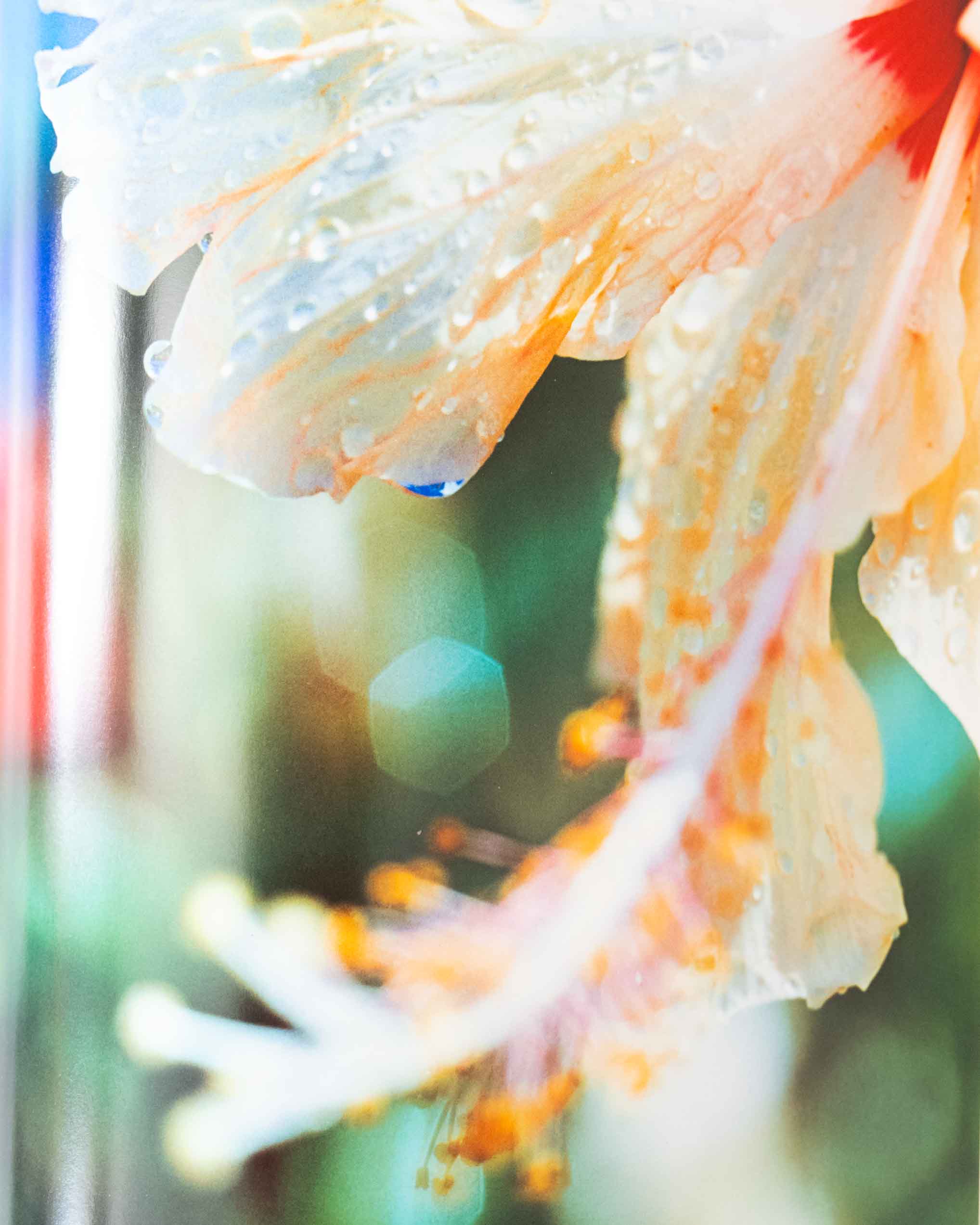 Acid Bloom by Mika Ninagawa – kalei