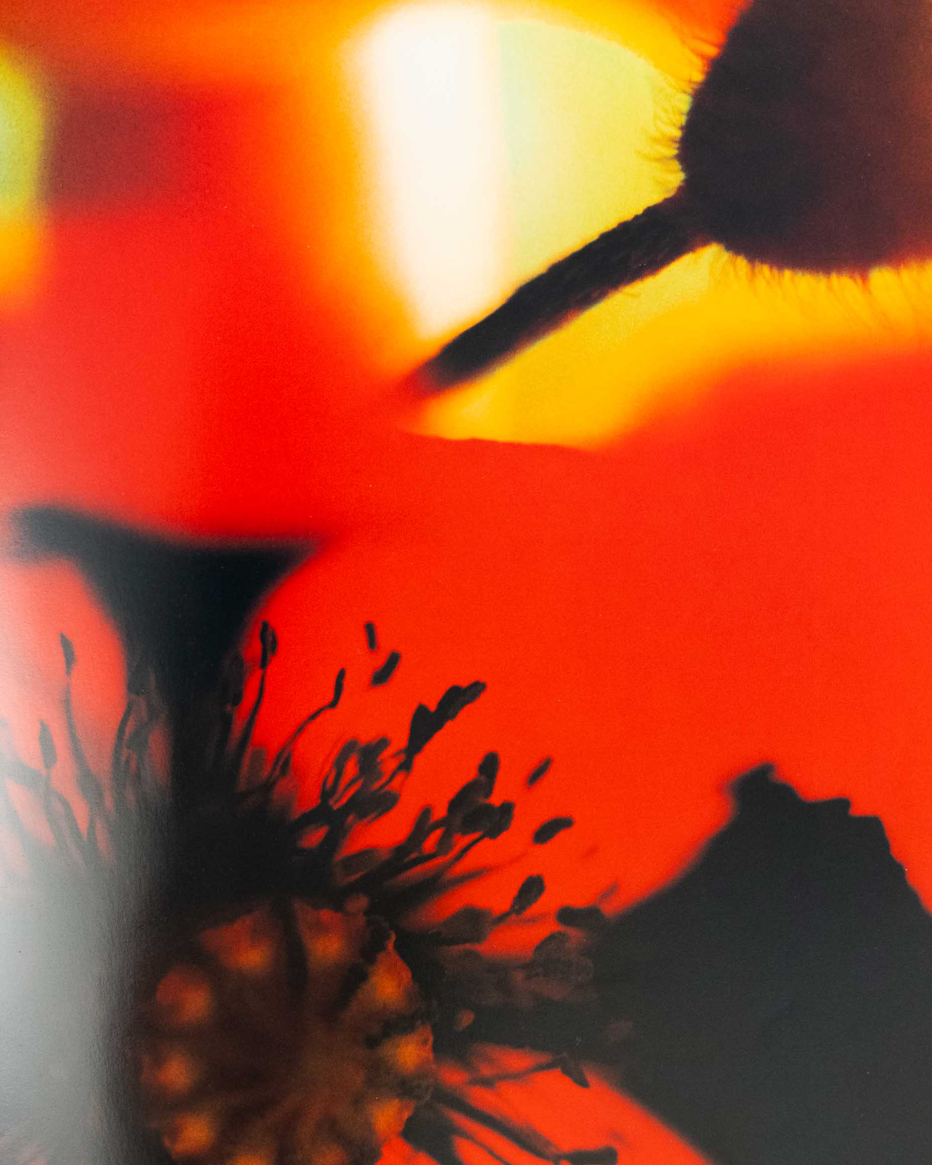 Acid Bloom by Mika Ninagawa