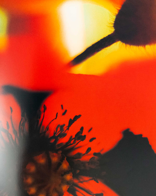 Acid Bloom by Mika Ninagawa