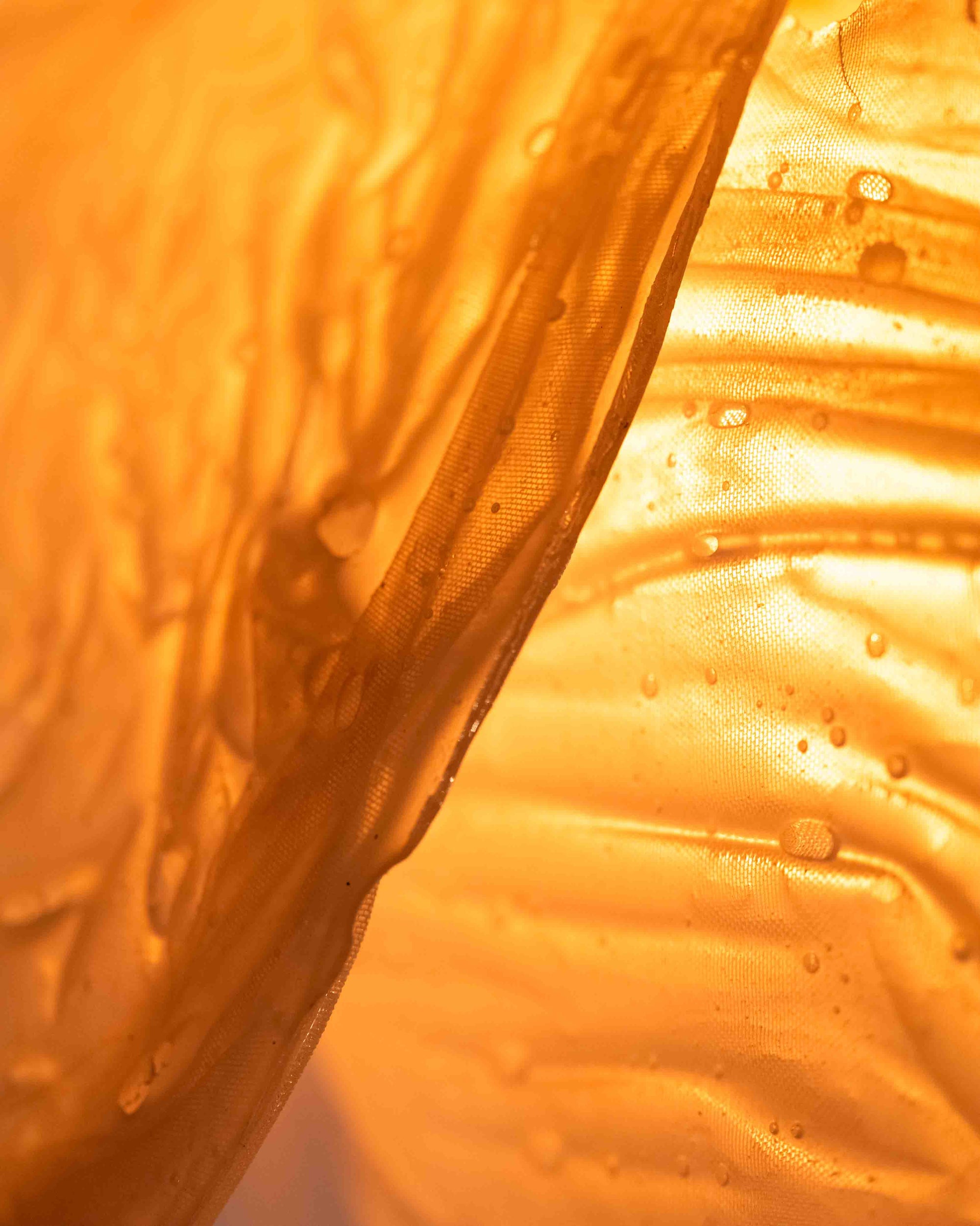 Cocoon Light by Kim Mesches
