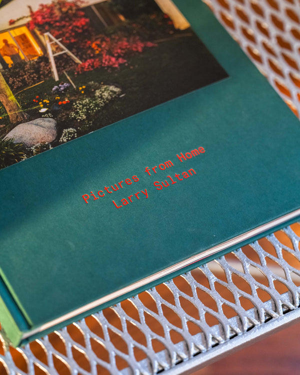 Pictures From Home by Larry Sultan