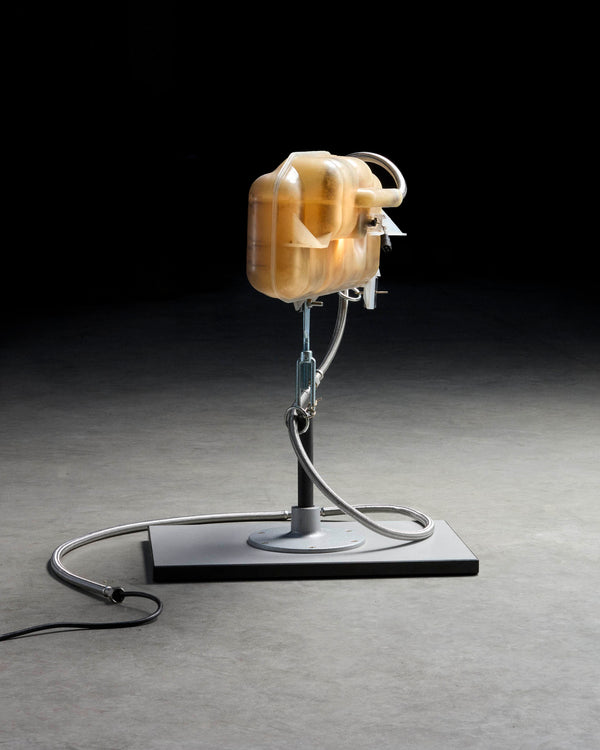 Artefact 2 by Lionel Jadot