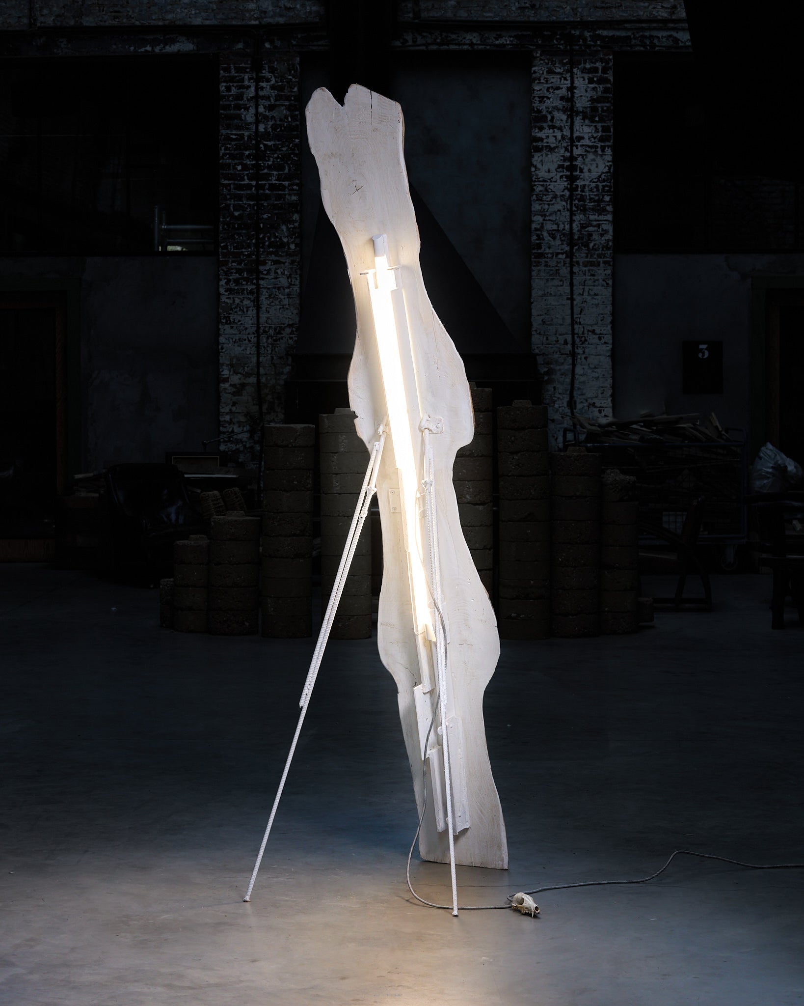 Shadow Sword by Lionel Jadot