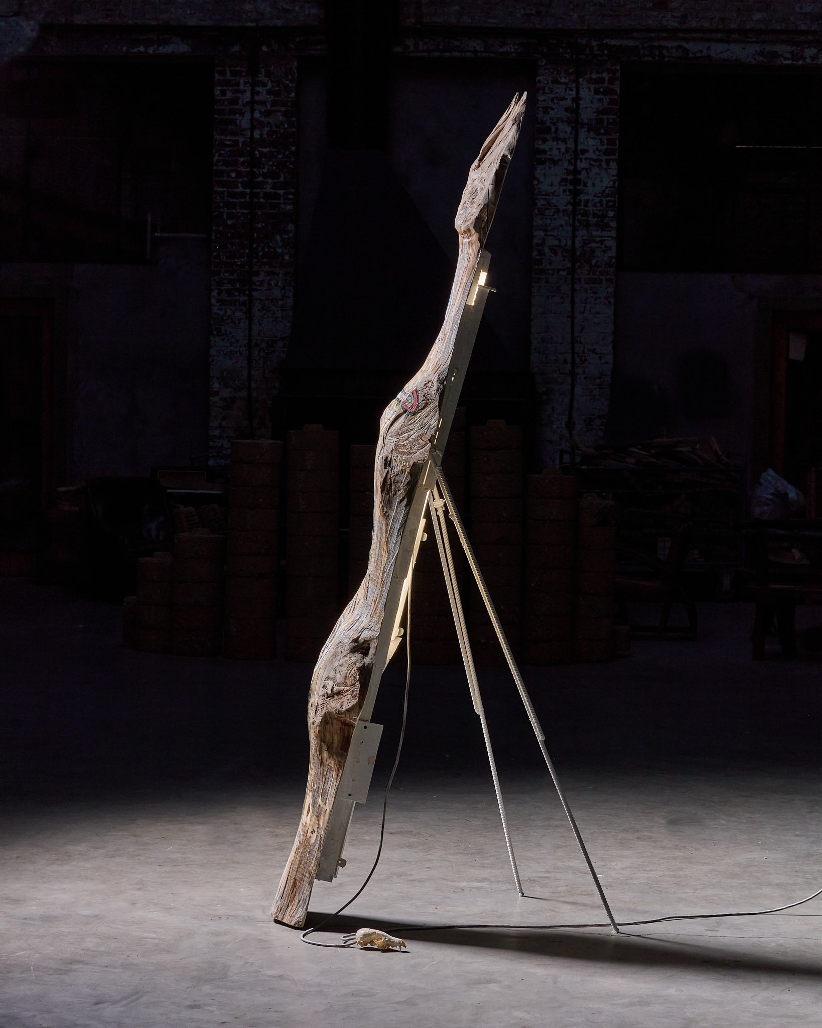 Shadow Sword by Lionel Jadot