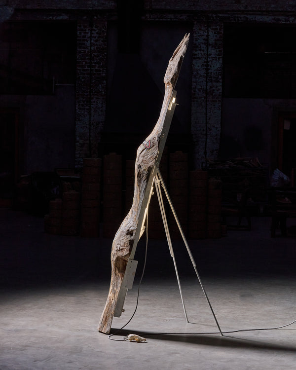 Shadow Sword by Lionel Jadot